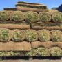 Sod – Black Beauty Tall Fescue – 600 SQFT – DIRECT SHIP